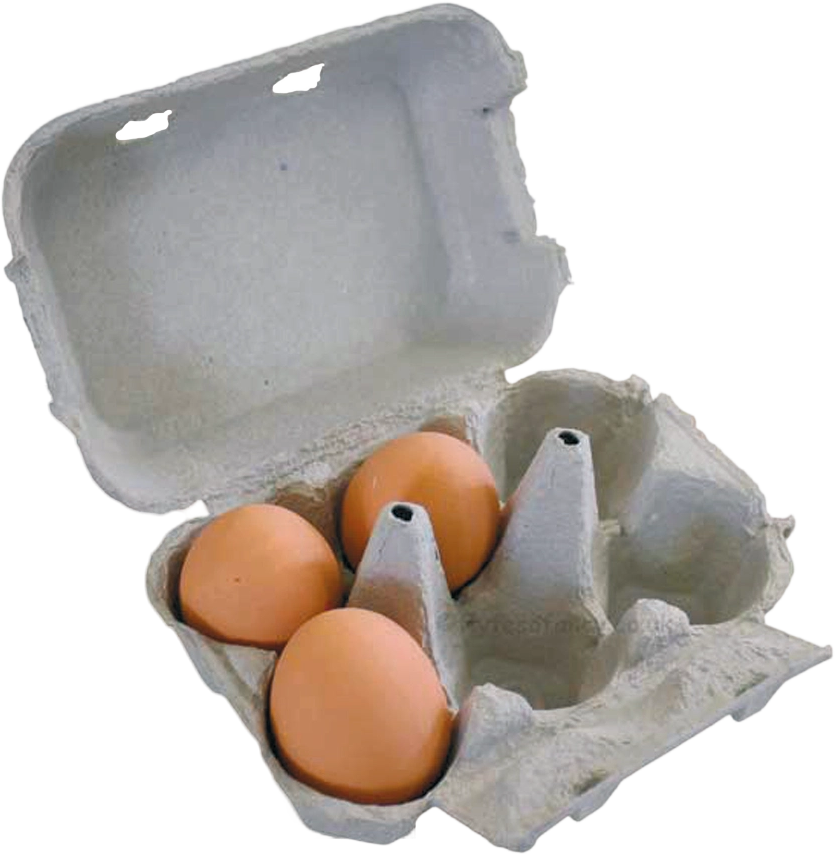 egg carton